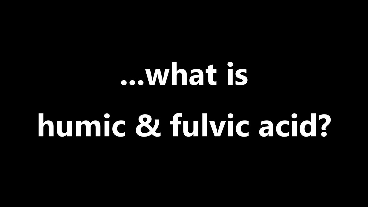 ...what is humic & fulvic acid?