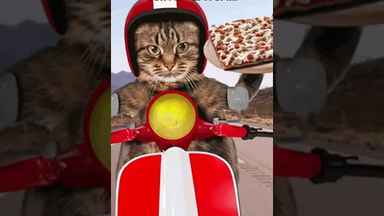 Professional pizza delivery!!!