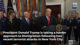 Trump Vows Immediate Immigration Change After New York Attack