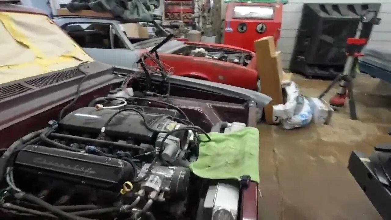 FIVE MILLION DOLLARS in classic cars hidden away in rural 7