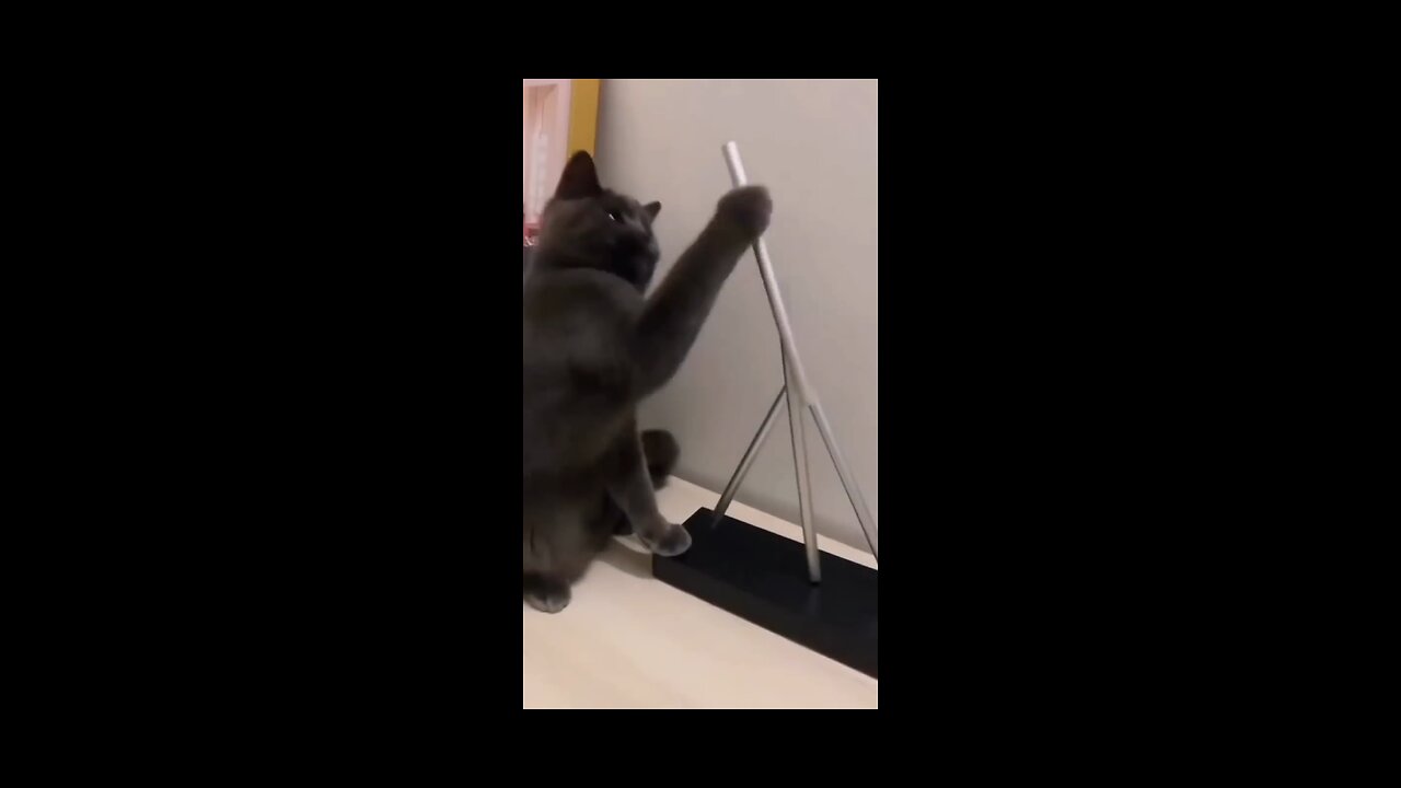 Animal funny videos part 2 #short videos #viral video #hard slap