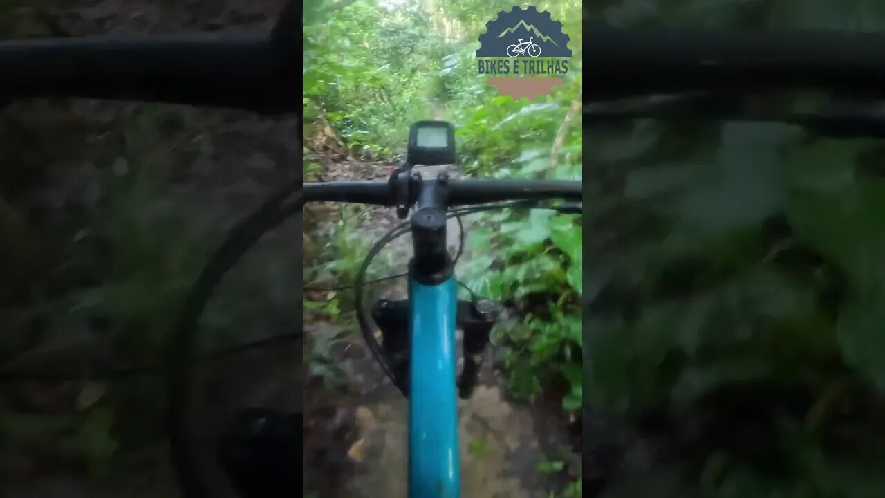 Single Track da Matinha - Sempre top! - BIKES E TRILHAS #shorts #bike #mtb