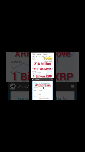 Ripple XRP News Today | Mysterious XRP Movement | Hundreds of Millions Moved by Anonymous Wallets