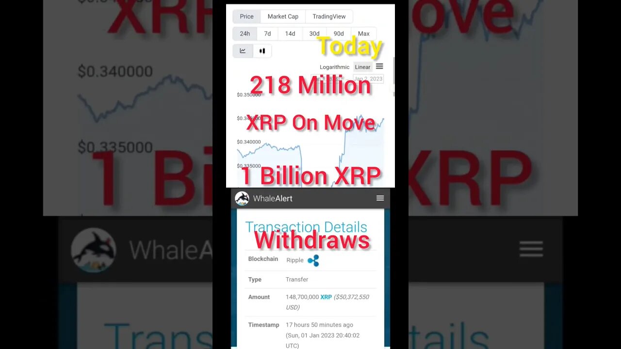 Ripple XRP News Today | Mysterious XRP Movement | Hundreds of Millions Moved by Anonymous Wallets