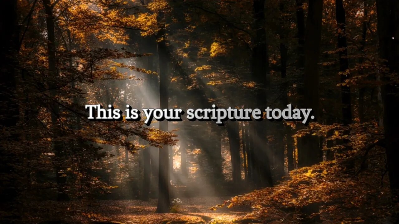 Your daily scripture.