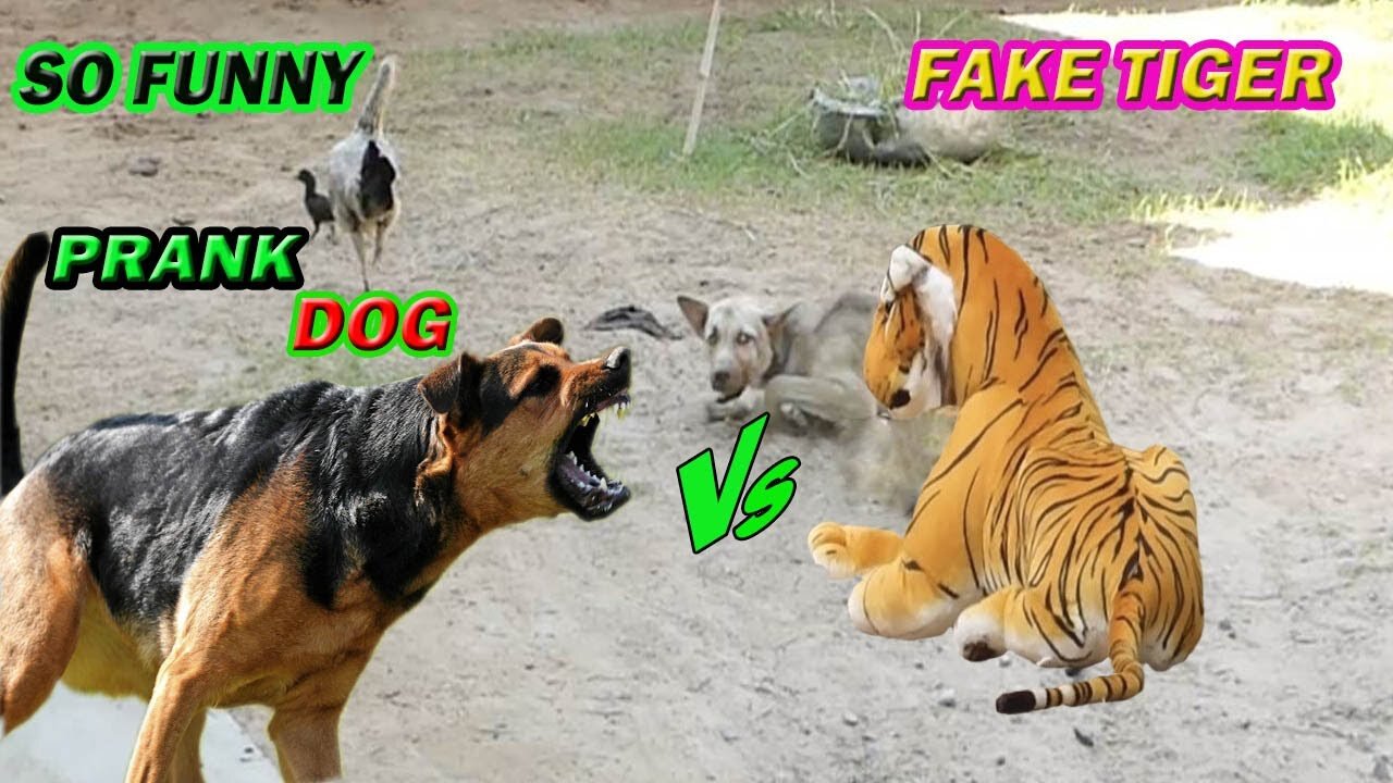 Fake Tiger Prank Dog Run So Funny Try To Stop Laugh