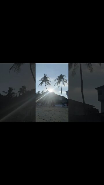 Sun, sound of waves crashing, palm trees. What else can make life better than this?! 😋😋😋