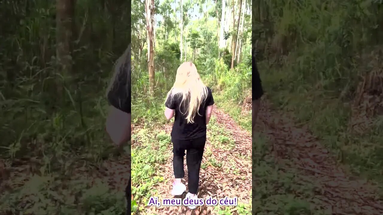 A procura do sinal