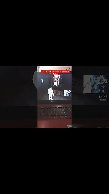 Live The Life simulator