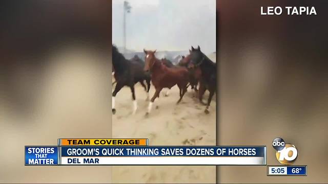 Groom's quick thinking saves dozens of horses