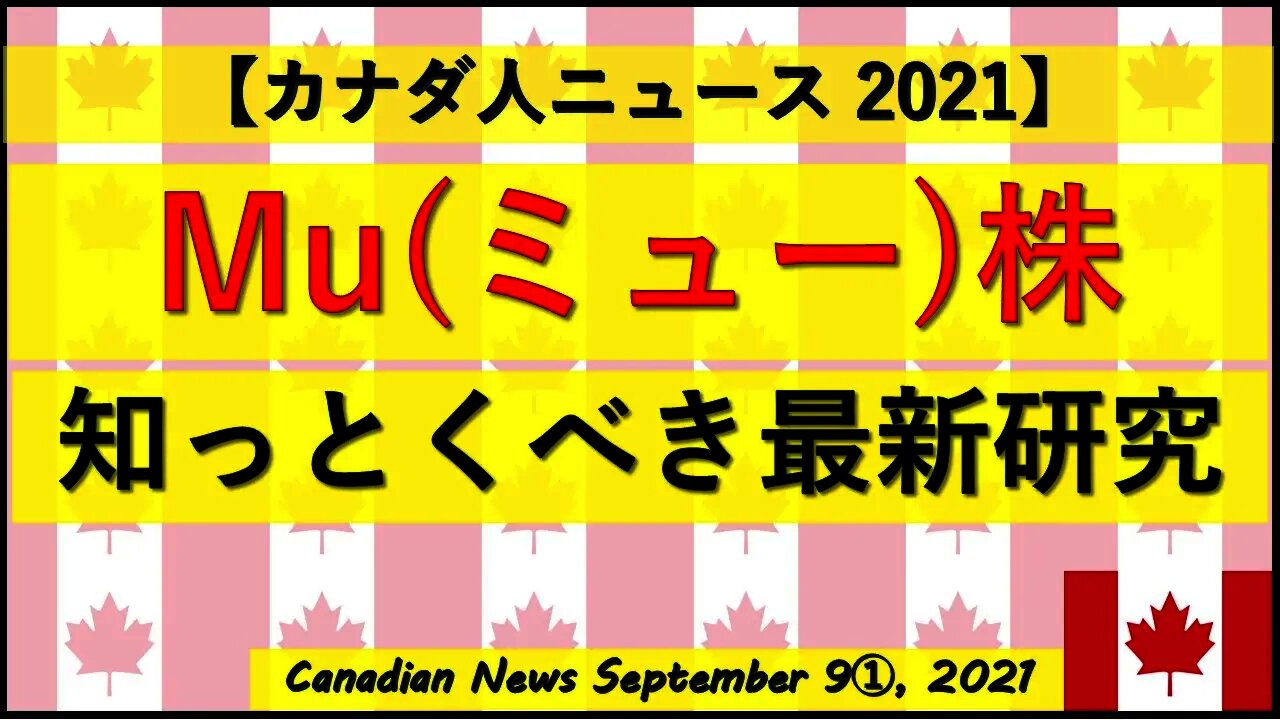 相反するMu（ミュー）株研究２つ