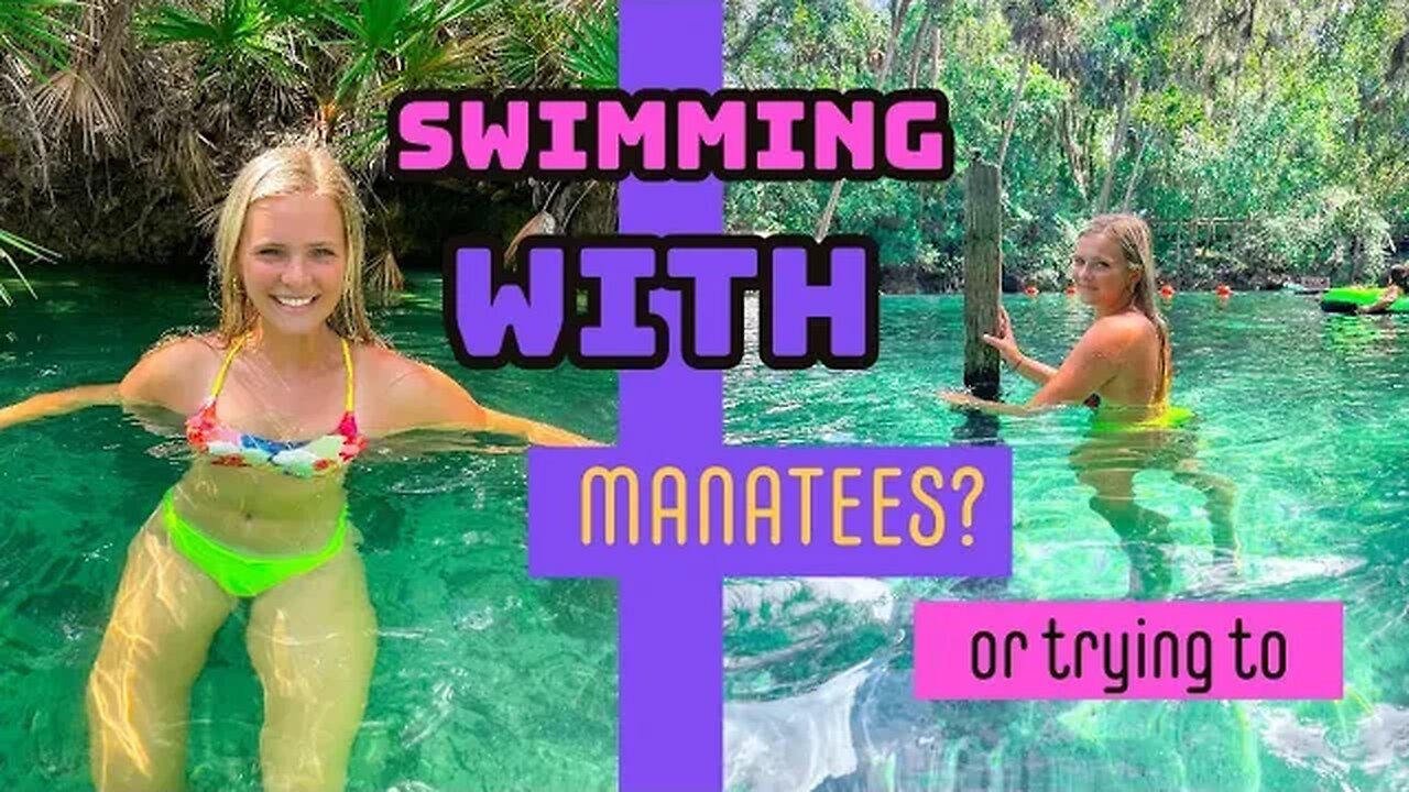 trying to find some manatees to swim with and sharks to see