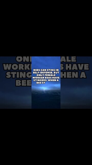 Incredible Random Facts That Will Expand Your Mind! [2023] #shorts #facts #viralshorts #fyp #life