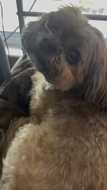 Work at home life is wonderful