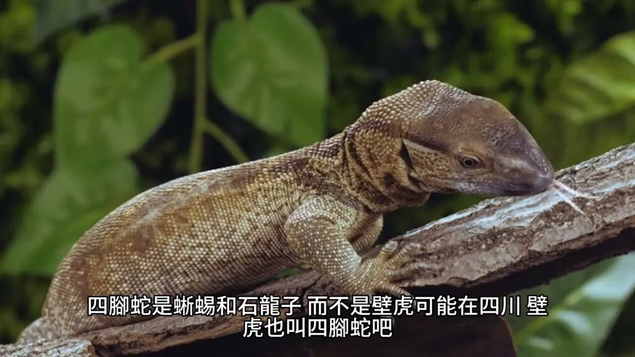 {奶爸學園}101~107章 有聲字幕小說