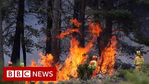 Wildfires breakout in Northern Spain following heatwave - 98BBC News