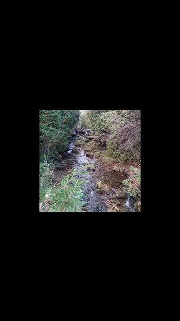 Out jogging hiking just taking in a breath before winter arrives.