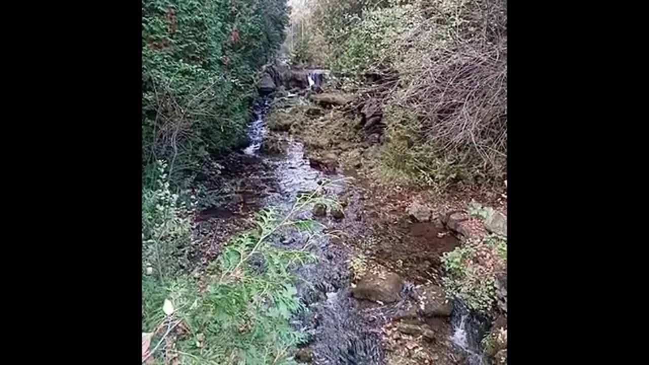 Out jogging hiking just taking in a breath before winter arrives.