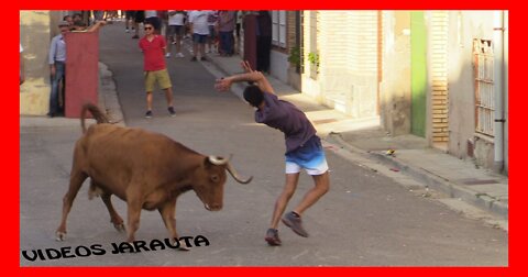 LUCENI ( ZARAGOZA ) TARDE VACAS CALLE ( DOMINGO 28 AGOSTO 2022 ) ARRIAZU