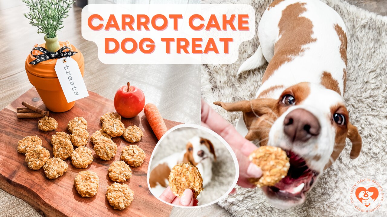 Homemade Carrot Cake Dog Treats