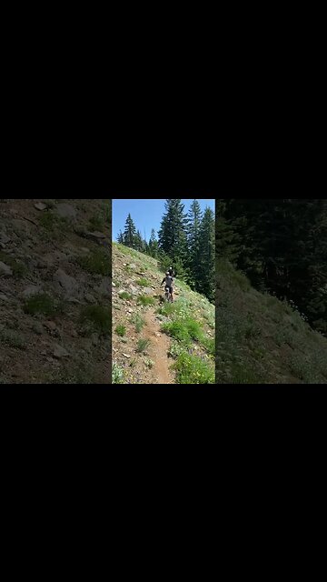 Steep side hills and big views #mtb #ytshorts