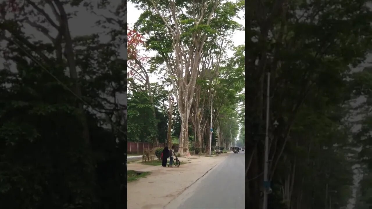 Paris Rood Rajshahi university #shorts #rajshahi #aholidaytour #viralvideo #travel #viralvideo