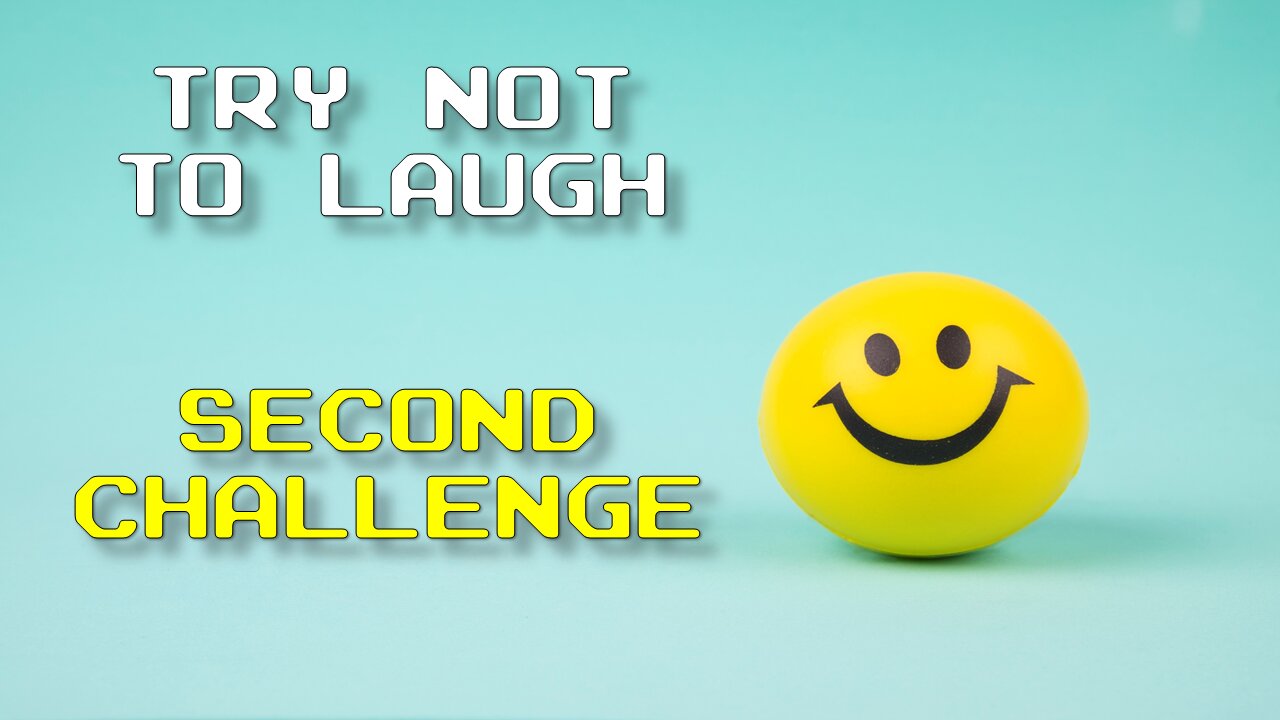 Try Not To Laugh - Mister Meme - Challenge Two