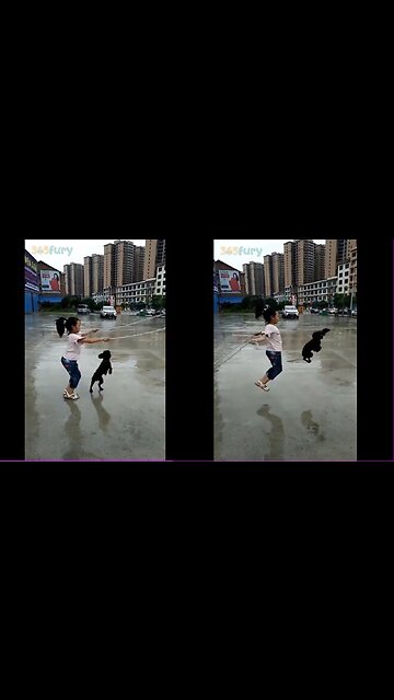 Bacche Ko Dekhkar kutte hue dog kudne Laga