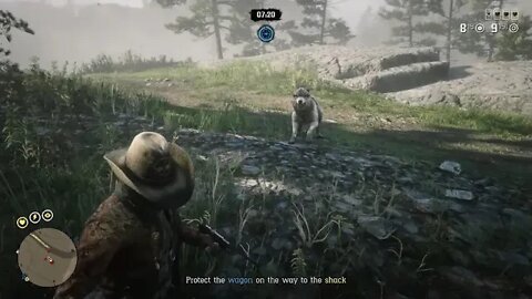 RedDeadOnline Revenue Agents and Legendary Wolf w/pack