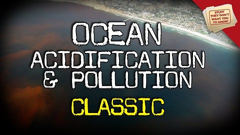 Stuff They Don't Want You To Know: Ocean Acidification and Pollution - CLASSIC