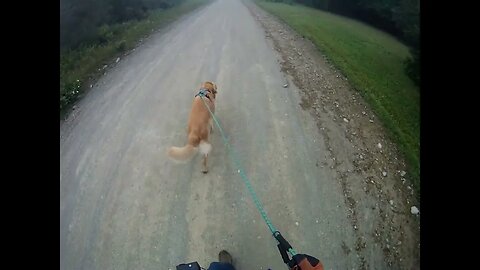 July 10th, 66º so humid you can see the moisture (a.k.a. fog), we go South for short walk.