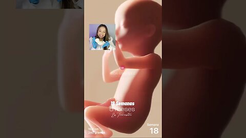 2º Trimestre de gestação #boagravidez #patriciamoreira