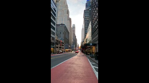 The Most Famous Street in New York City 🏙️🌆🥀