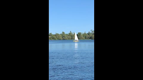 Sailing! 💨 ⛵️