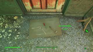 Fallout 4 - Five small junk items to collect