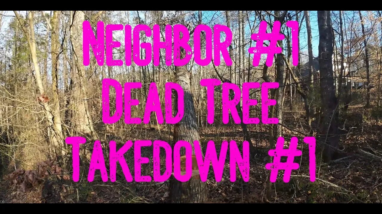 Cutting Down My Neighbors Dead Tree #1