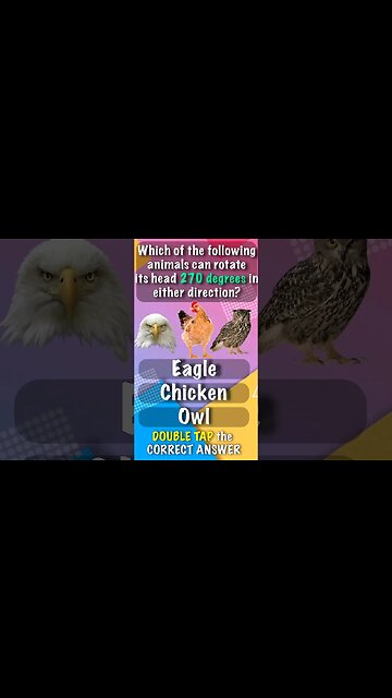 Animal Quiz 5 Animal that can Rotate head 270 deg #shorts #facts #quiz #education #learning