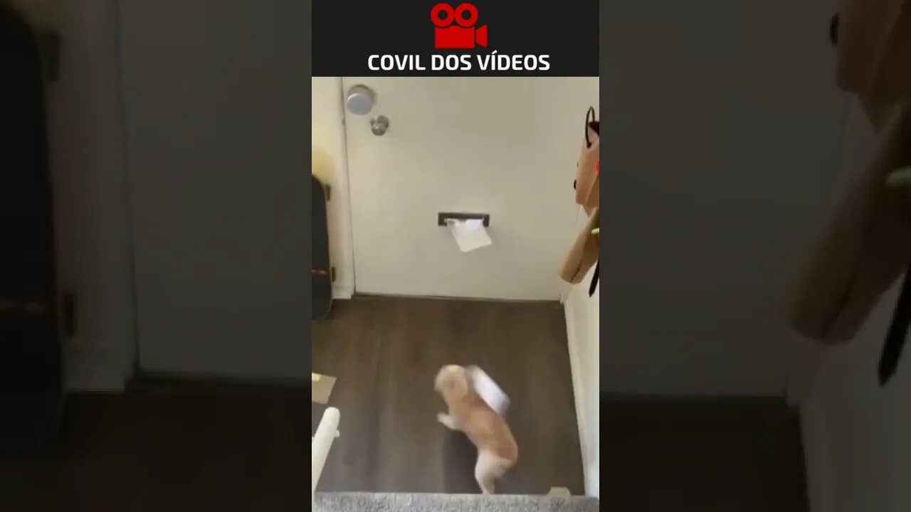 dá vontade de fazer isso quando chegam as contas