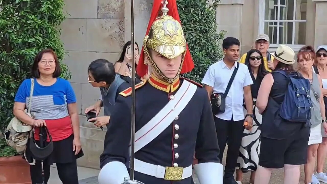 She looks back in disbelief 😆 🤣 😂 #horseguardsparade