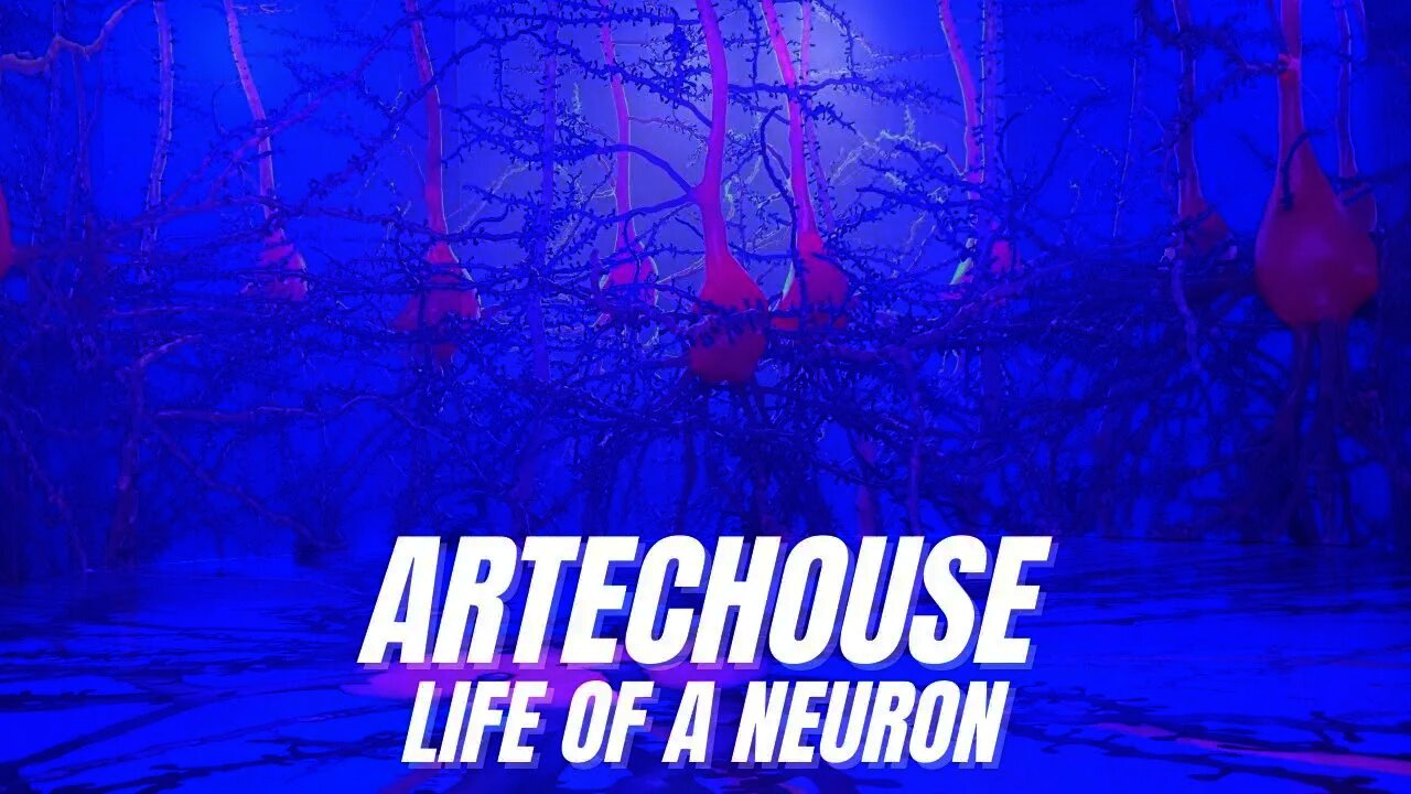 Artechouse: Life of a Neuron