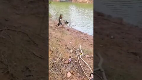 Failing Down A Steep Hill In Hawaii While Fishing #fail #bassfishing #peacockbass