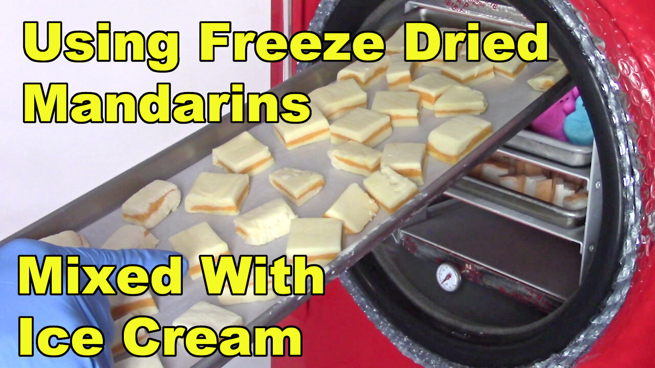 Using Freeze Dried Mandarins in Ice Cream