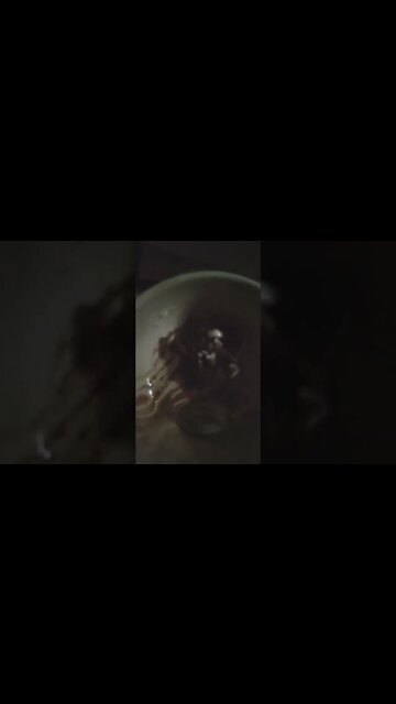 God Send Ice Cream Pam God Send Ice Cream Pam | GBYAA