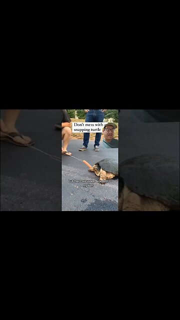 Not all reptiles are Cold Blooded