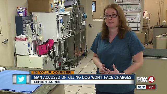 Man accused of killing girlfriend's dog will not be prosecuted