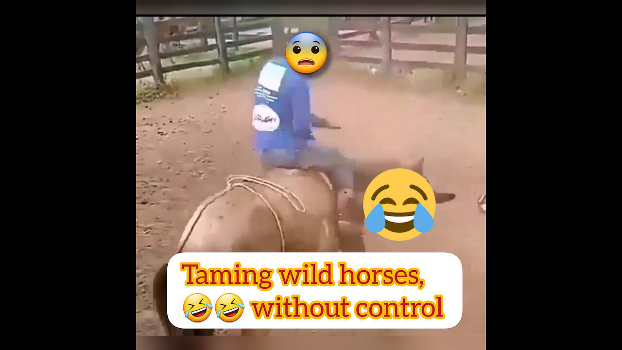 Taming the horse, without control 😂😂