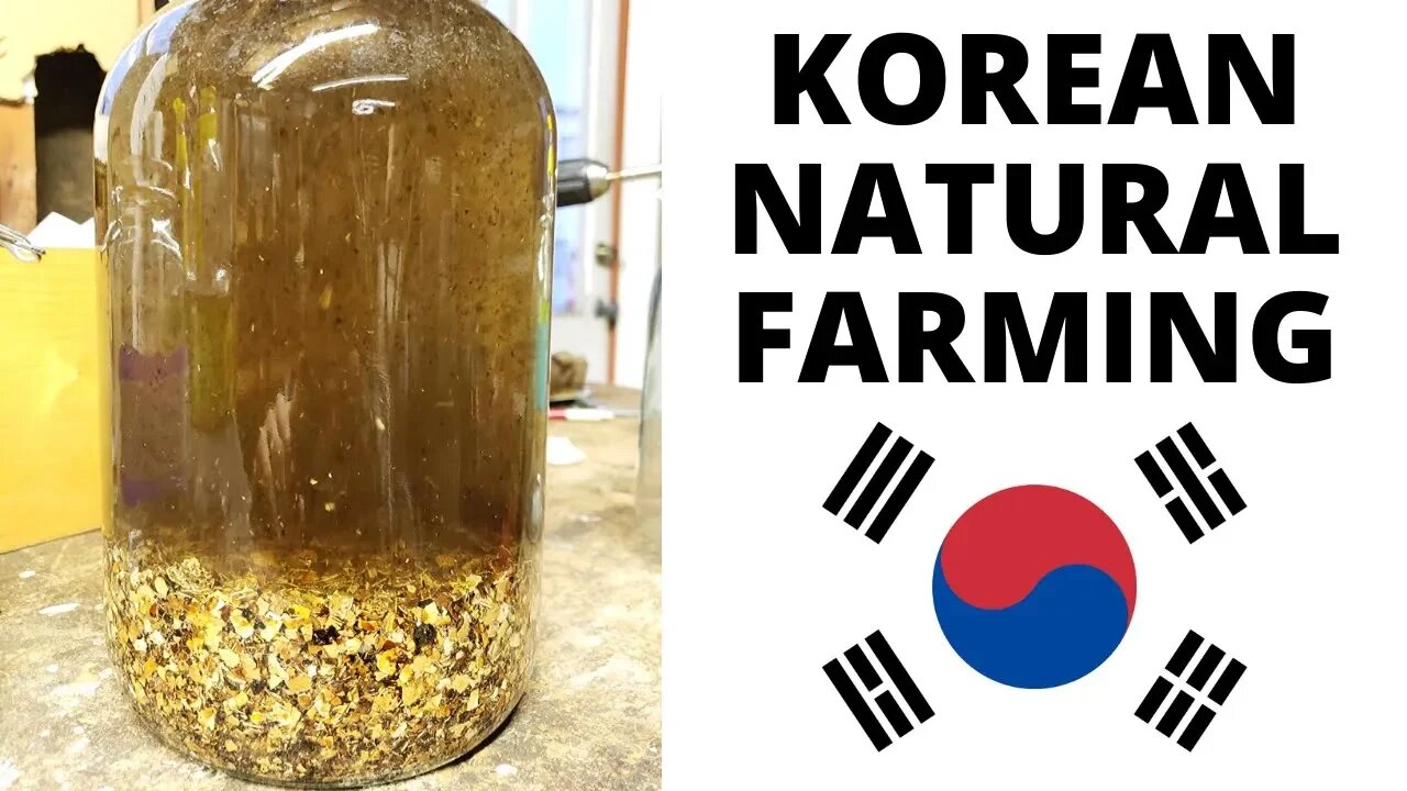 What is Korean Natural Farming? Interview with PureKNF Drake