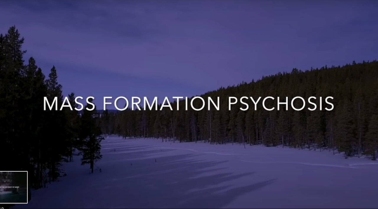 Mass Formation Psychosis