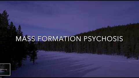 Mass Formation Psychosis