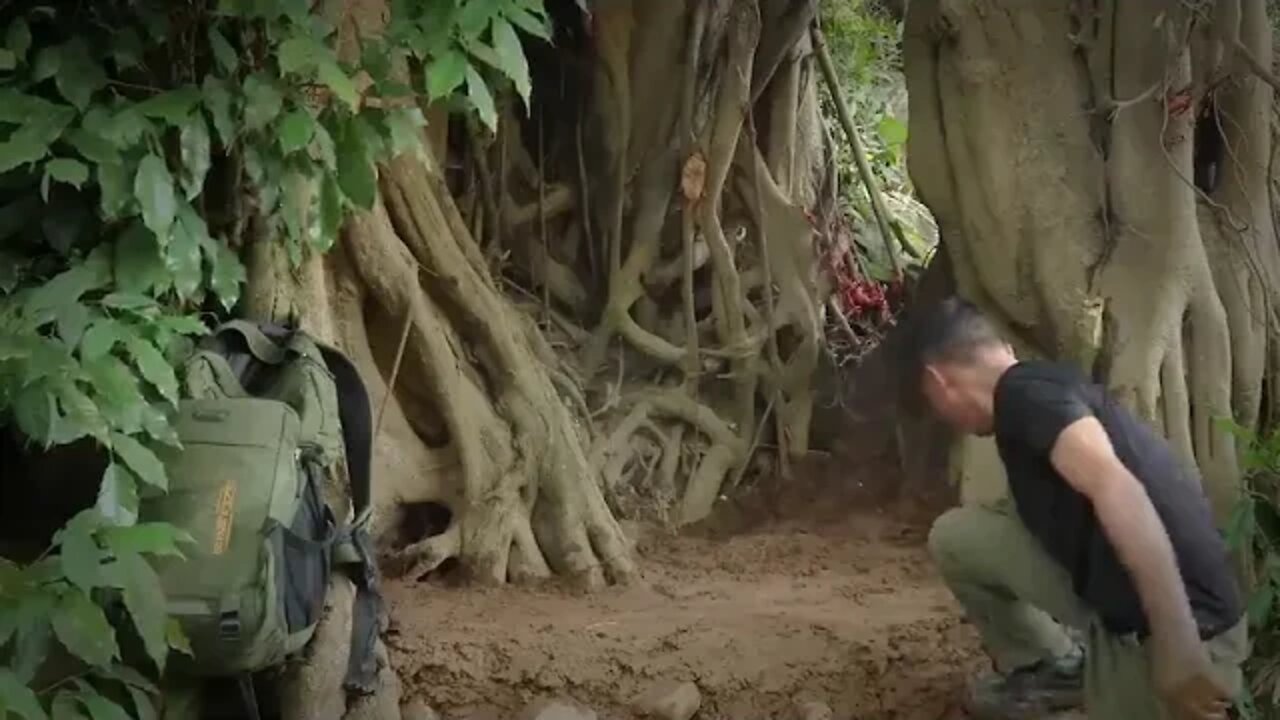 Building Complete and Warm Survival Shelter In The Trunk , Fireplace With Clay , Crab Trap and Cook
